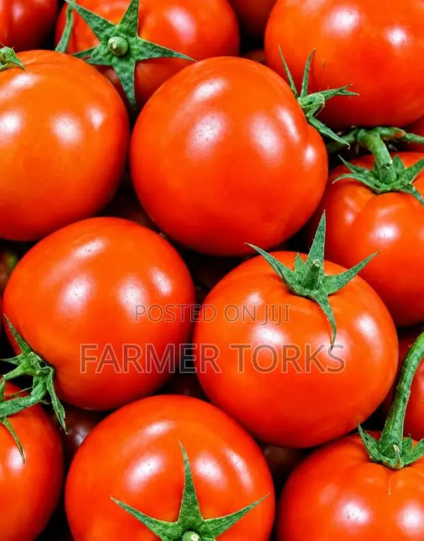 Farm Fresh Tomatoes · Photo 1