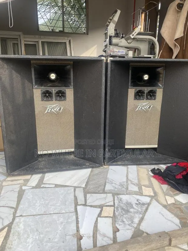 Peavey C-700 Network Professional PA Speaker – 100W 8Ω · Photo 1