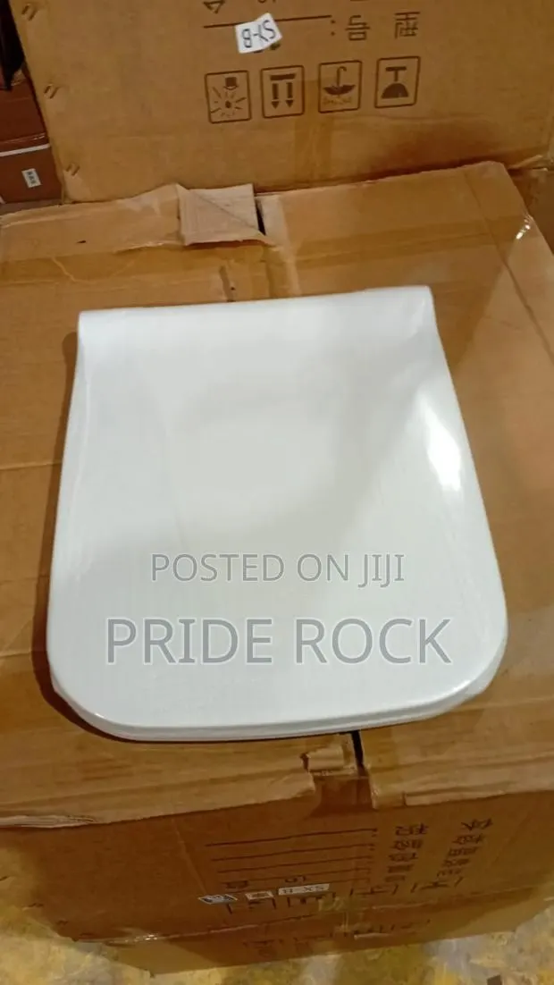 Toilet Seat Cover · Photo 1