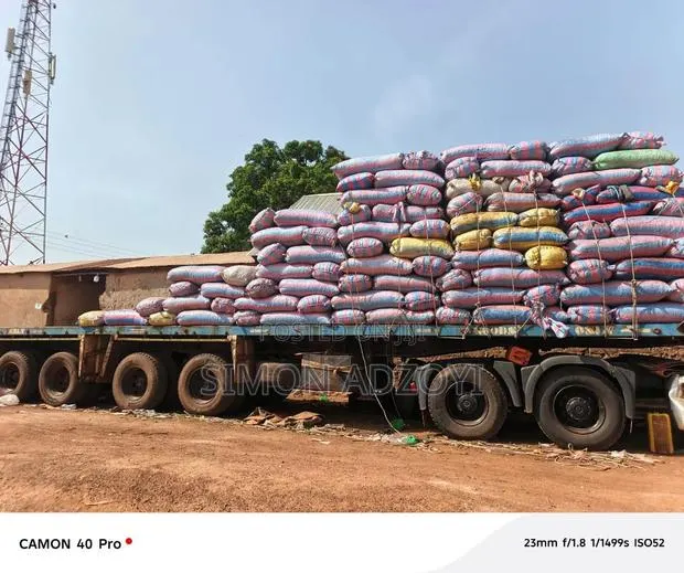 Shea Nuts for Sale · Photo 4