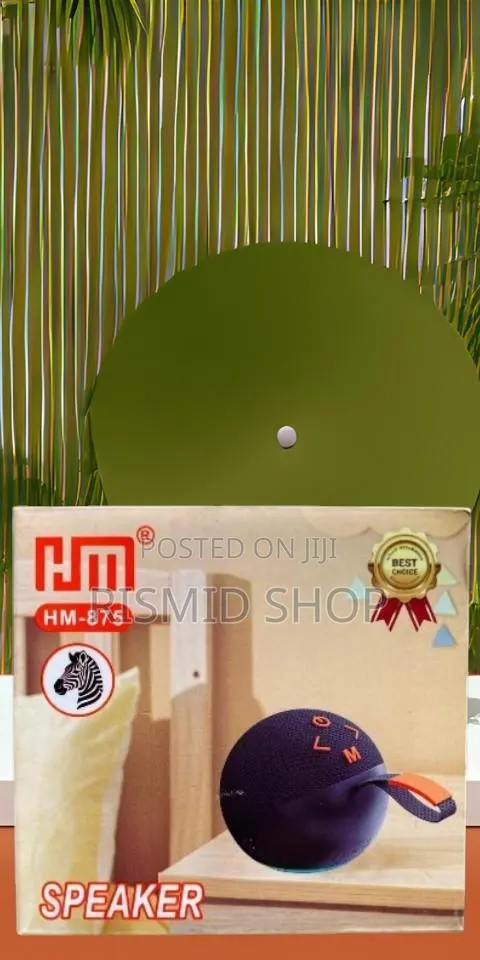 HM-875 Portable Bass Bluetooth Speaker · Photo 1
