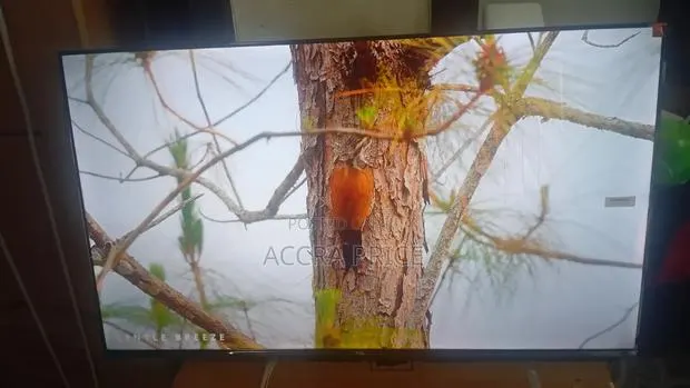 Dream World Television 43inches TCL Smart Televisions · Photo 1