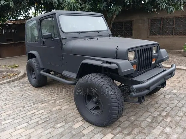 Jeep Wrangler Base 4x4 1993 Black · Photo 1