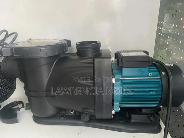 Swimming Pool Pump · Photo 1