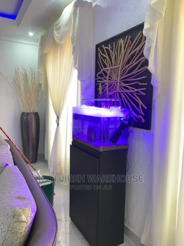 Fog Aquarium Setup With Fishes · Photo 1