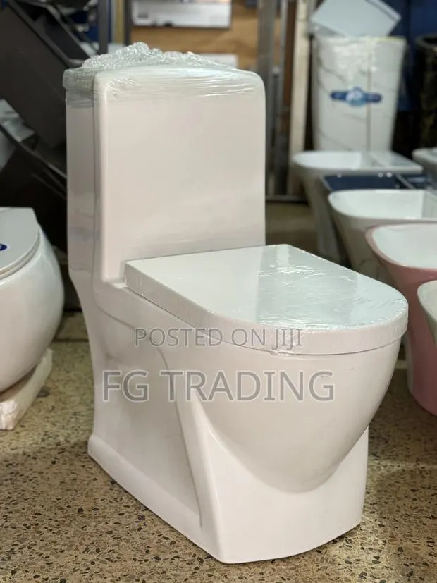 Combined Water Closet - Luxury Toilet · Photo 1