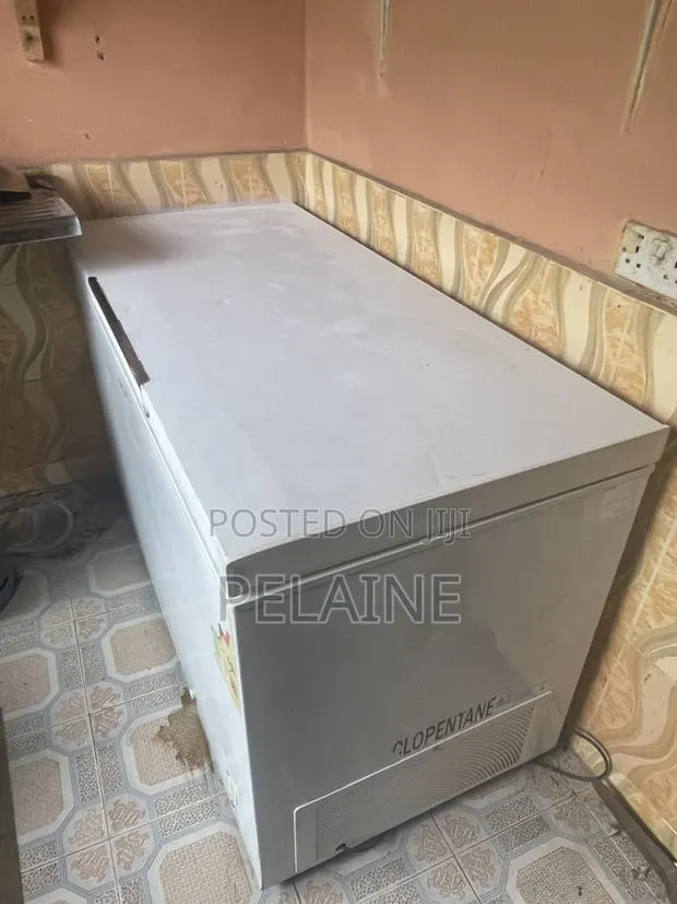 Samsung Chest Freezer · Photo 1