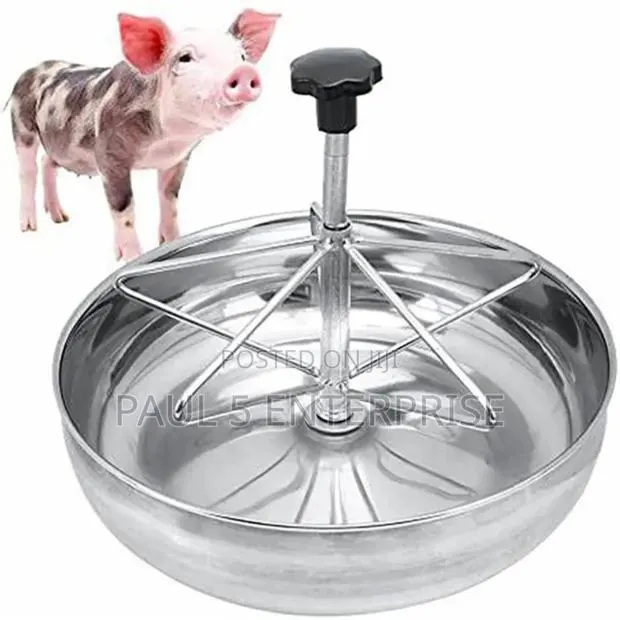 28cm Piglet Feeding Bowl · Photo 1