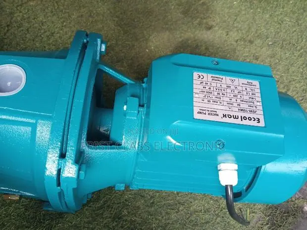 Deluxe Ecoolmax Pump · Photo 1