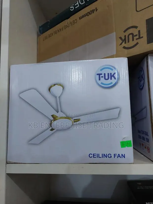T-Uk Ceiling Fan · Photo 1