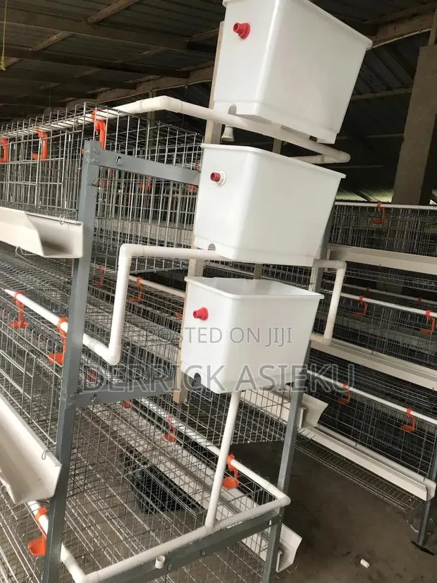 Battery Cages System · Photo 1