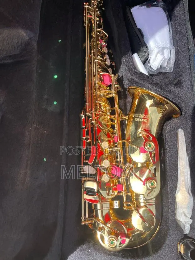 Golden Premier England Alto Saxophone · Photo 1