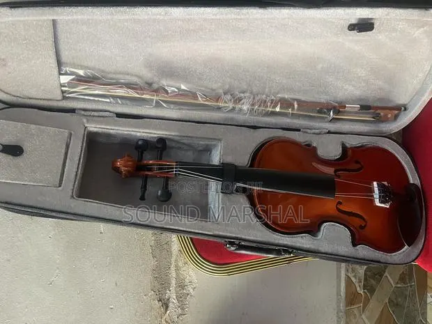 Professional Violin 4x4 · Photo 1