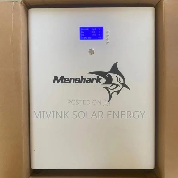 Solar Lithium Battery 24v 300ah · Photo 1