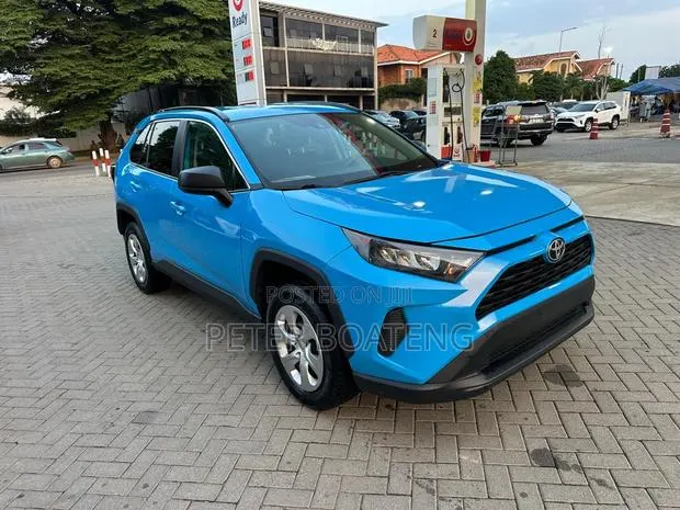 Toyota RAV4 LE FWD 2019 Blue · Photo 1