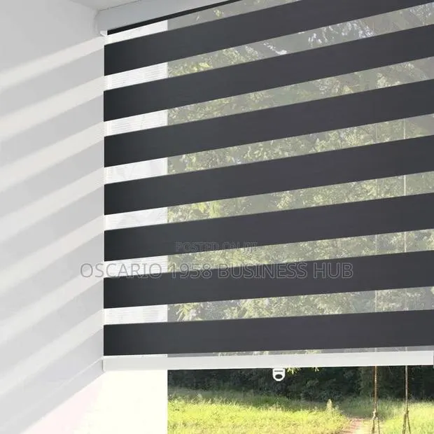 Pull Down Extraordinary Window Zebra Blinds · Photo 1
