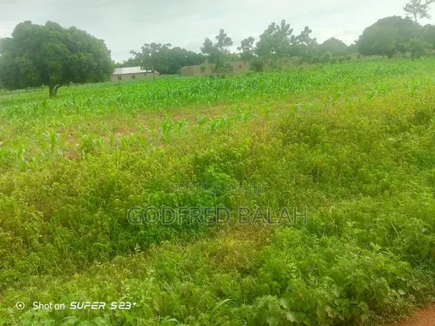 Land for Sale · Photo 1