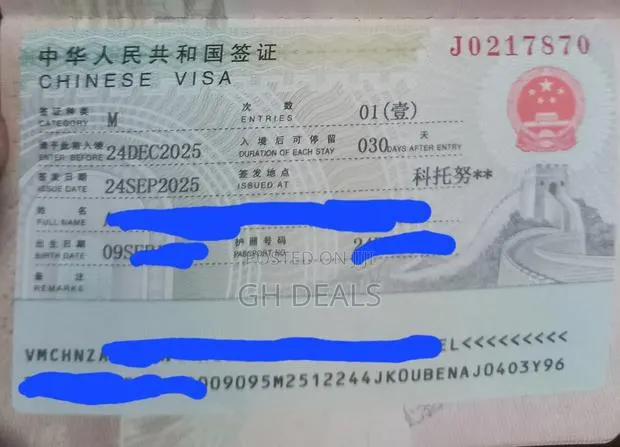 Chinese Visa · Photo 1