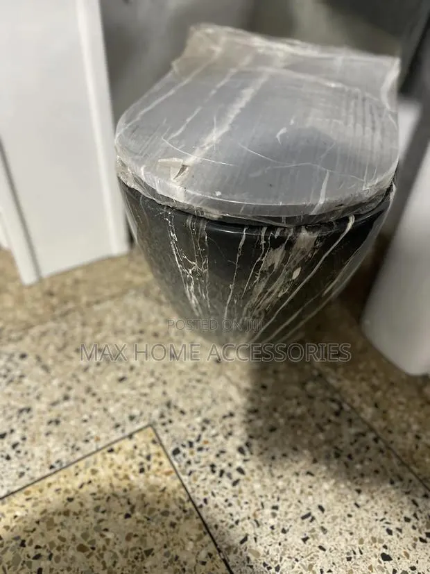 Hanging Water Closet · Photo 3