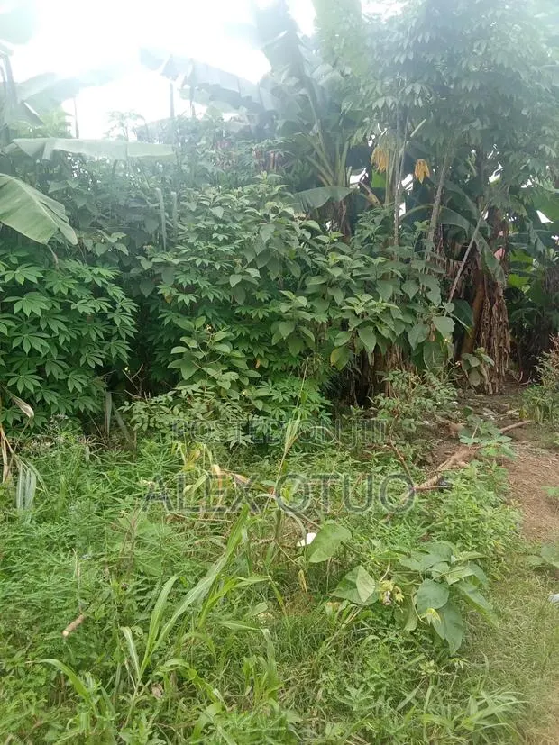 Plot of Land Good Location Akropong Daabaa · Photo 4