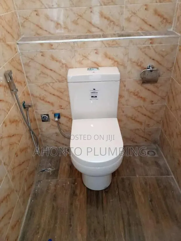Professional Plumbing Solutions · Photo 1