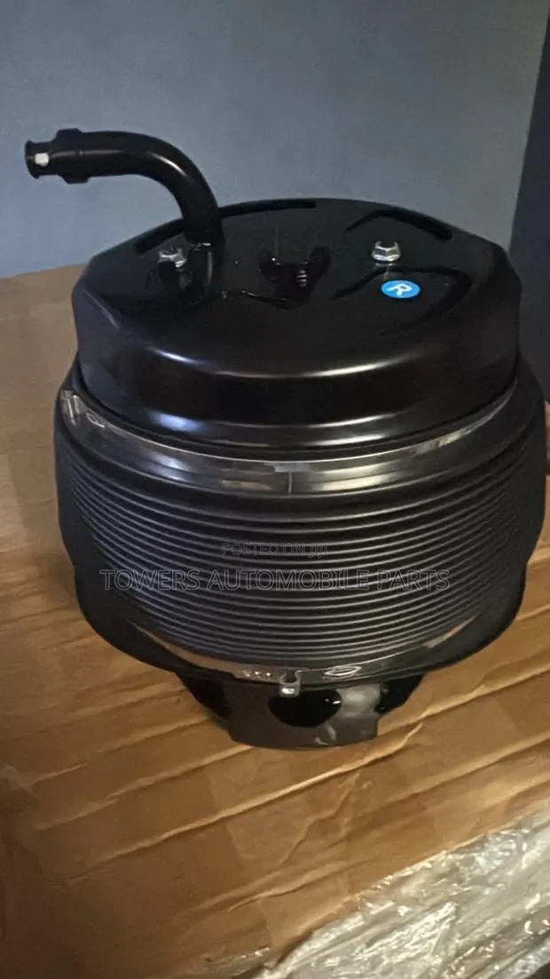 Toyotw Sequoia 2010-2020 Rear Air Spring · Photo 1