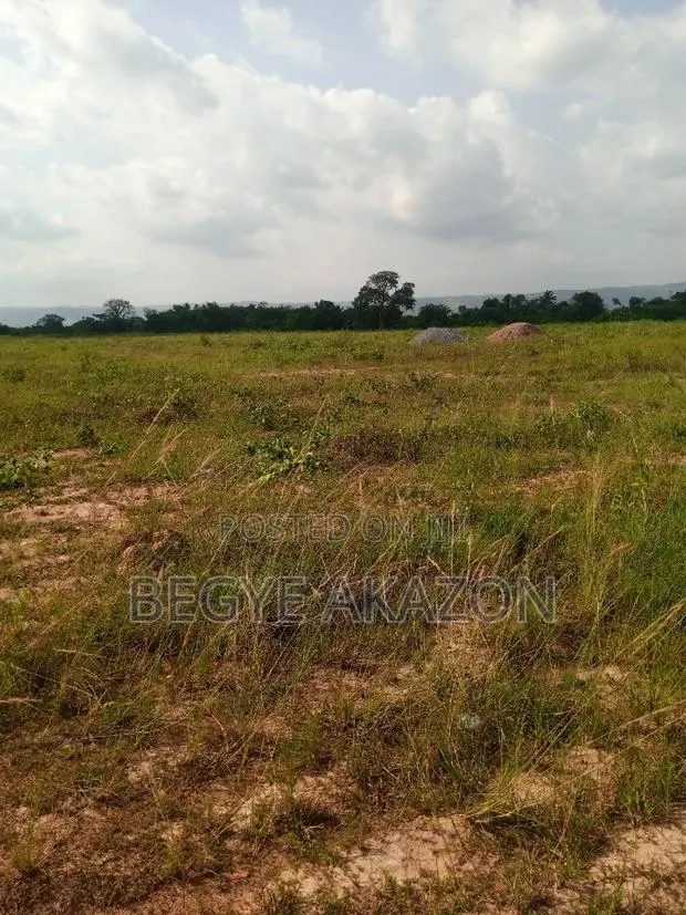 50 Acre Land at Ayikuma Fire Service · Photo 1