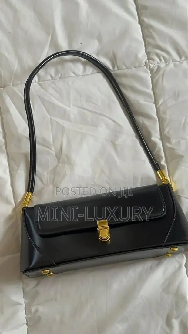 Ladies Handbag · Photo 1