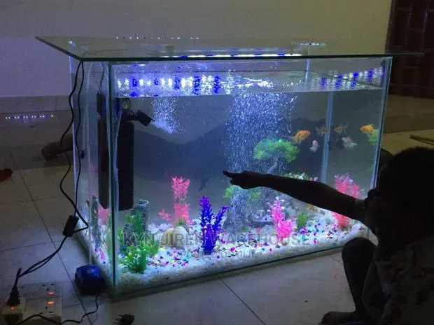 Center Table Aquarium With Fish. · Photo 1