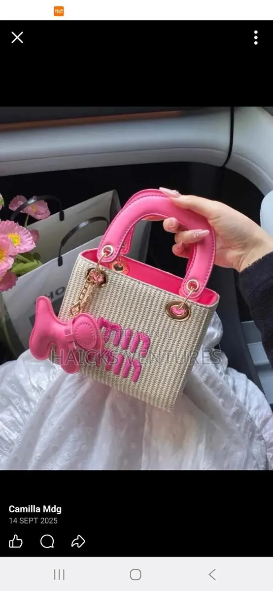 Classic Mini Bags · Photo 1