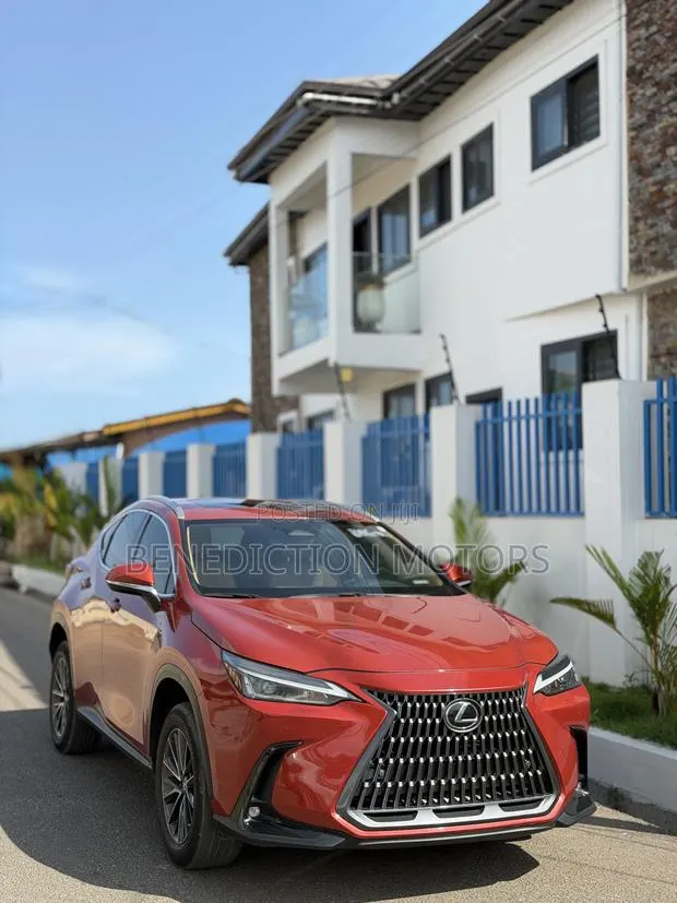 Lexus NX 250 2023 Orange · Photo 1