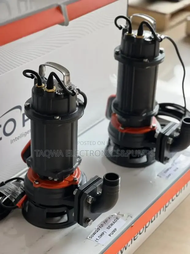 Leo1.5hp Sewage Pump · Photo 1