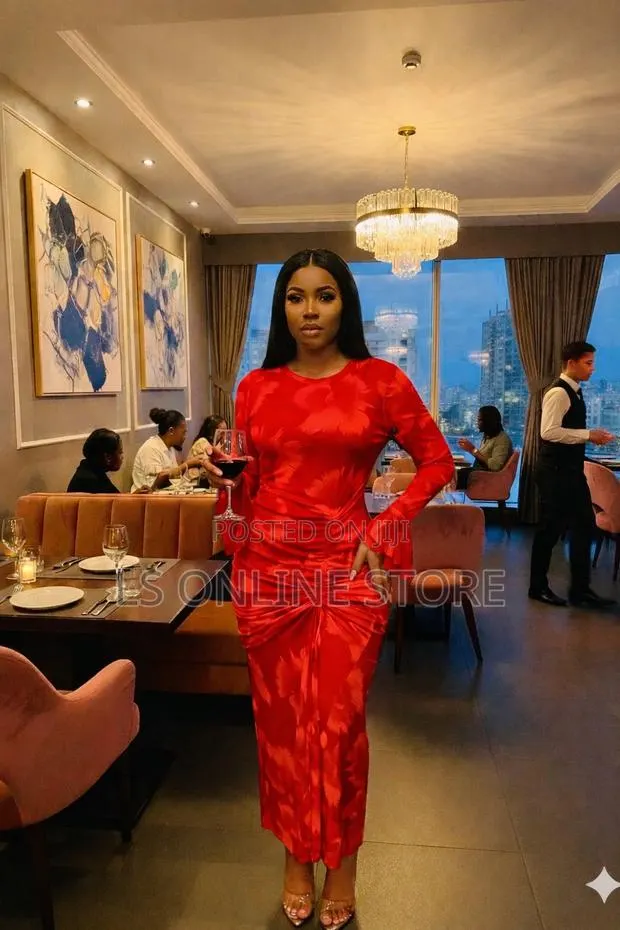 Mesh Dress · Photo 1