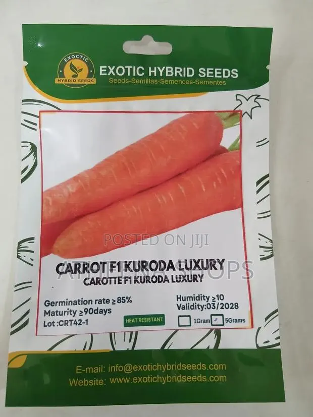 Big Carrot Seeds · Photo 2