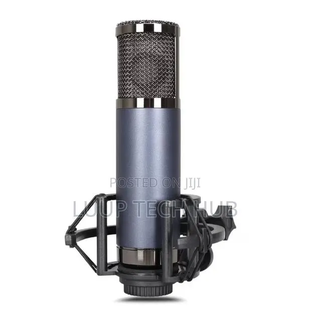 High Quality Studio Condenser Microphone · Photo 1