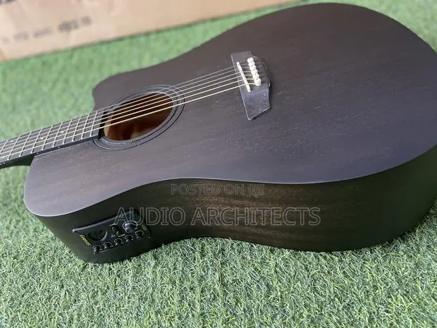 Semi Acoustic Guitar Srinberg · Photo 1