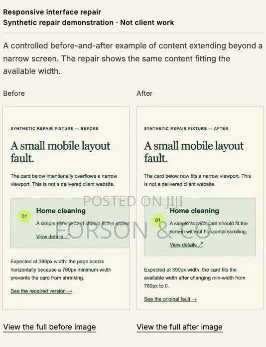 Fix or Complete Your Existing Web App · Photo 1