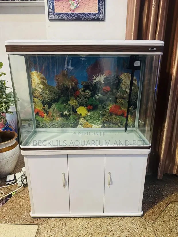 Imported Aquarium With Stand · Photo 1
