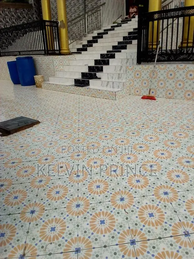 Professional Tiler · Photo 1
