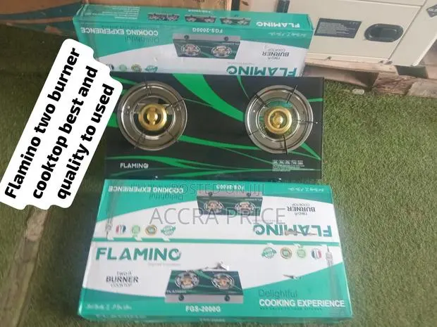 Flamino Double Burner Gas Stove – Neat Design Powerful Cooking · Photo 1