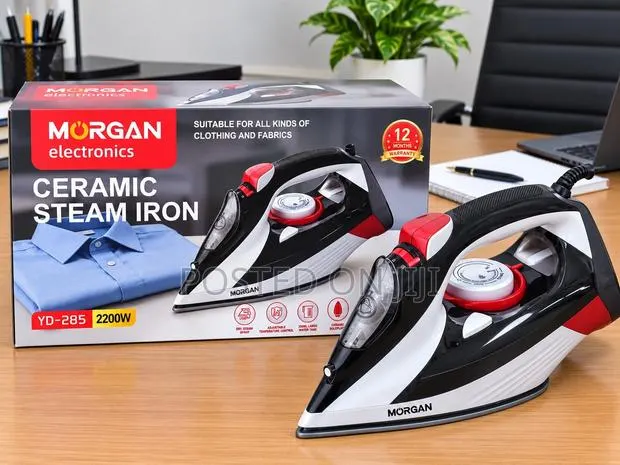 Electric Steam Iron 2200watts · Photo 1