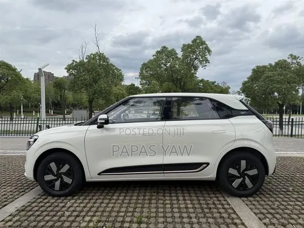 Electric Comfort Car Rental With Driver | Comfortable, Reliable