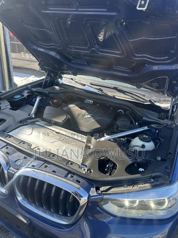 BMW X3 xDrive30i AWD 2018 Blue · Photo 1