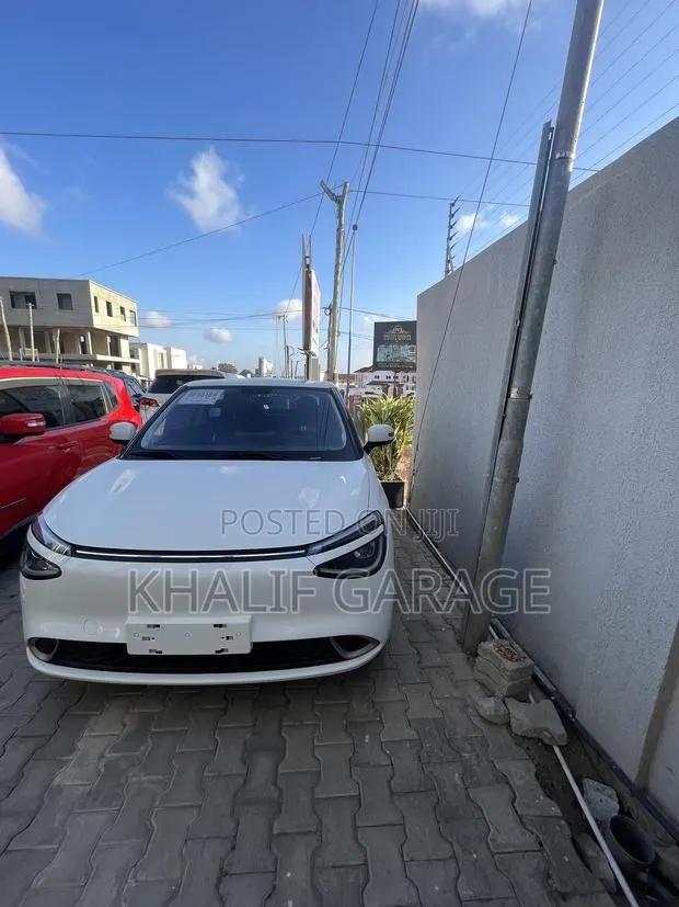 Dongfeng Nammi 01 31.45 kWh 330 Plus 2024 White · Photo 1