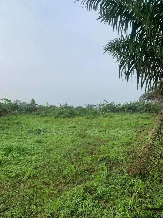 Gated 21 Plots of Land for Sale. · Photo 1