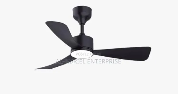 Ceiling Fan With Light · Photo 1