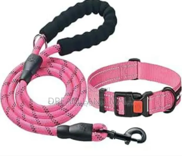 Pink Collar With Leash · Photo 1