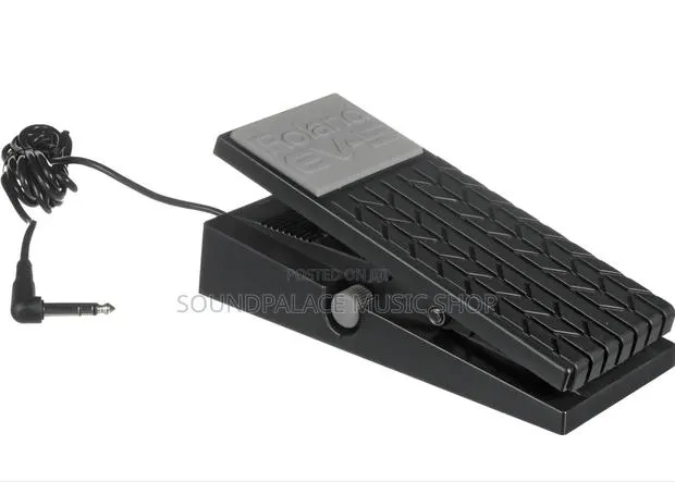 Roland EV-5 Expression Pedal/ Sustain Pedal · Photo 1