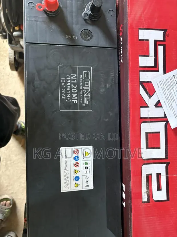 21 Plate Aokly Battery · Photo 1