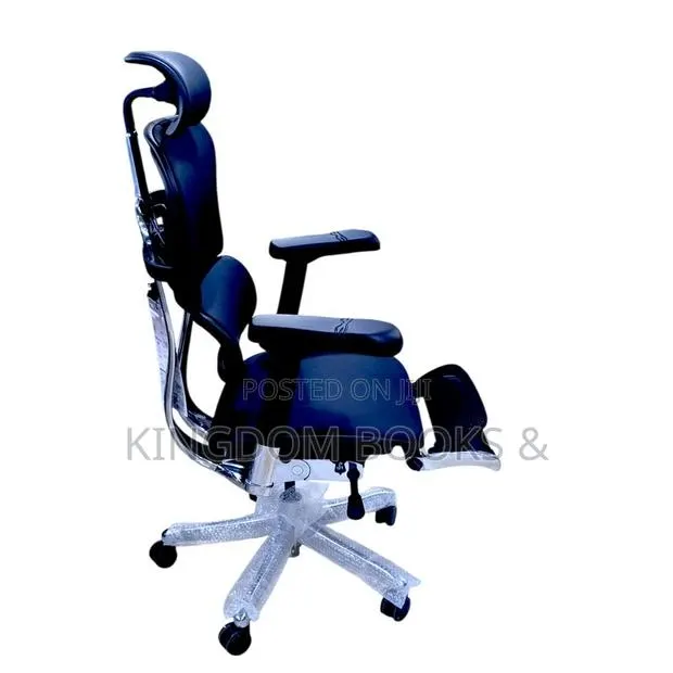 Executive Ergohuman Leather Swivel Office Chair With Footrest · Photo 1